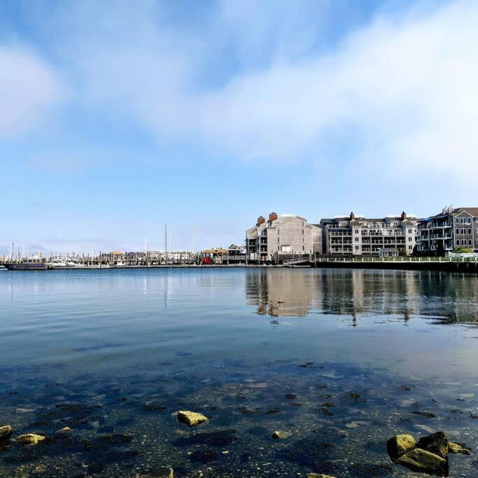 Apartment The Peaceful Puffin Newport
