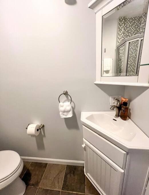 Dog-friendly Downtown Holiday home