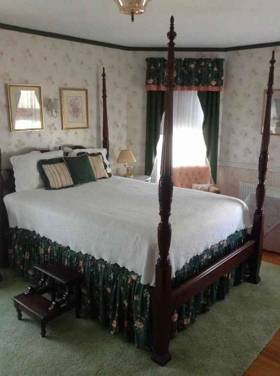 Rose 3* Newport